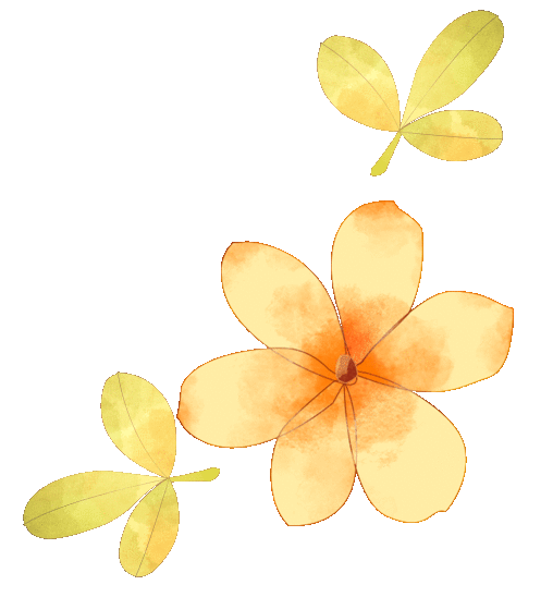 e509228e835122a